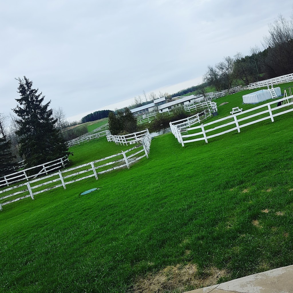 Devonshire Stables | 6211 4 Line, Fergus, ON N1M 2W5, Canada | Phone: (519) 787-9310