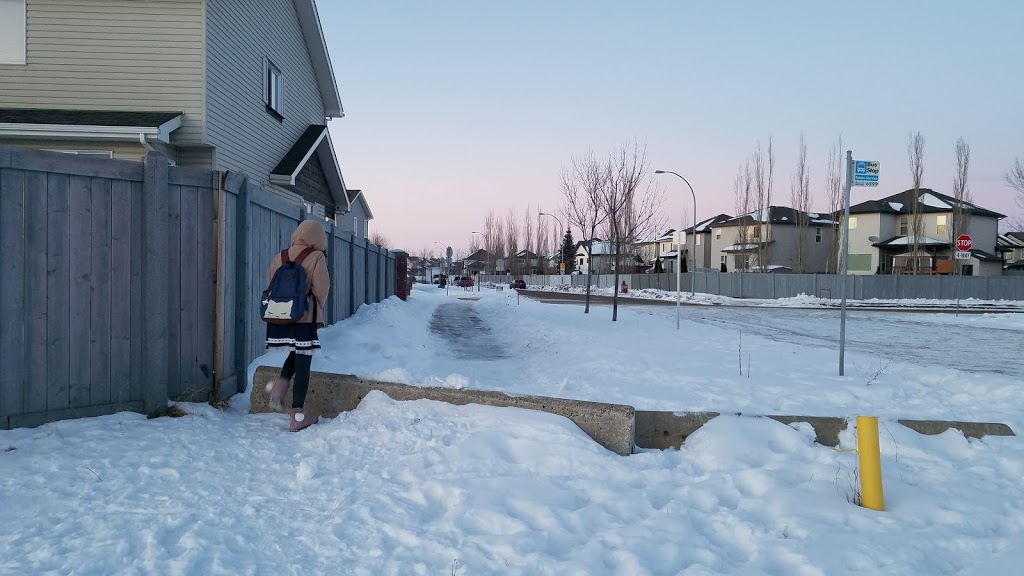 Cumberland Lake | 104 Cote Crescent NW, Edmonton, AB T6V 1L3, Canada