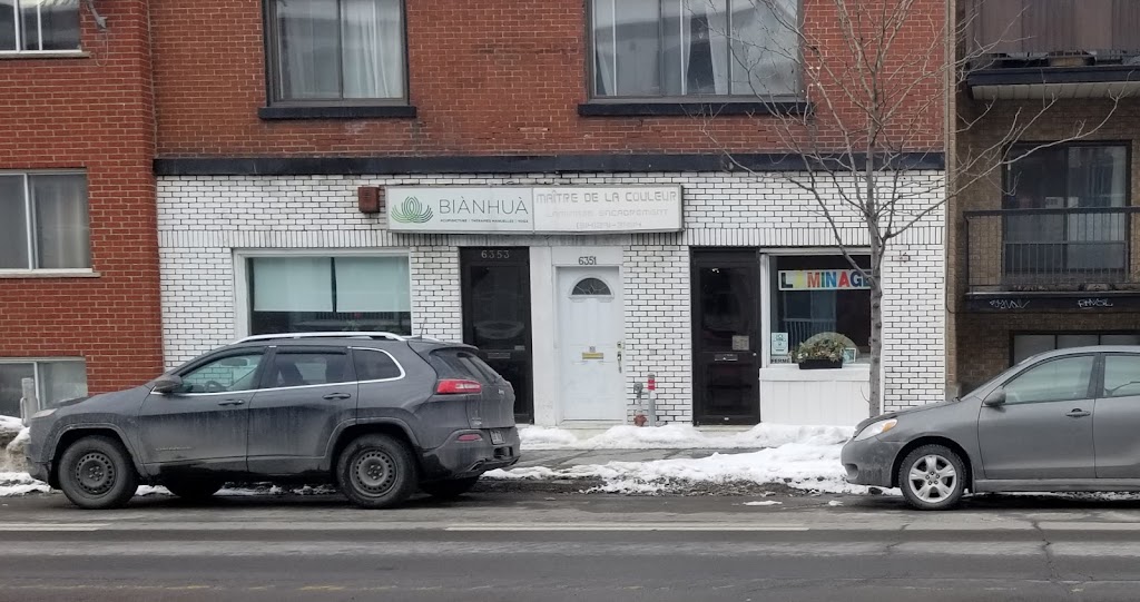 Biànhuà - Acupuncture | 6353 Av. Papineau, Montréal, QC H2G 2X1, Canada | Phone: (514) 913-7705