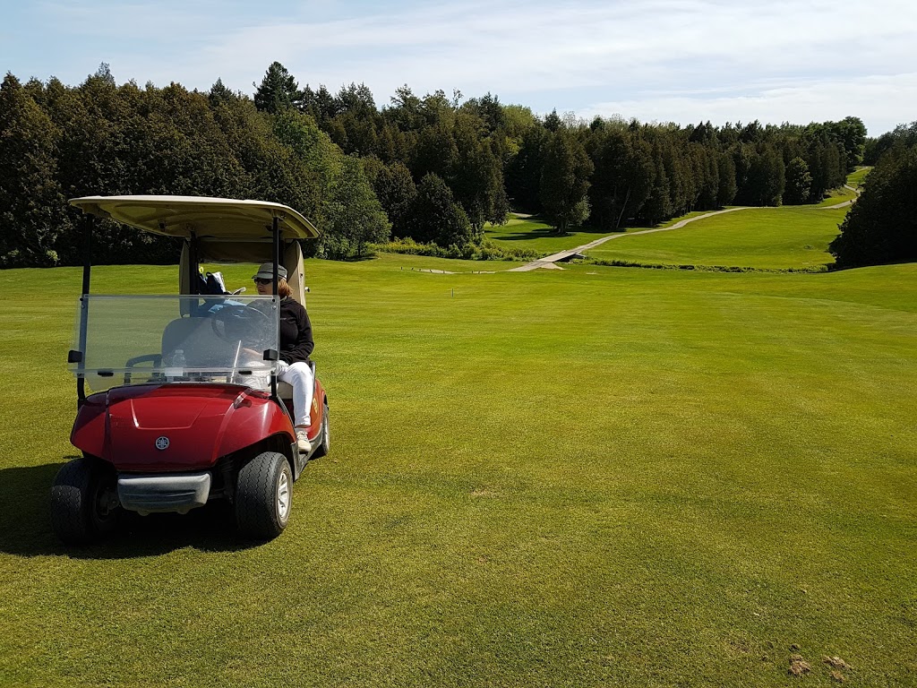 Newcastle Golf and Country Club | 2429 Golf Course Rd, Newcastle, ON L1B 1L9, Canada | Phone: (905) 987-4851