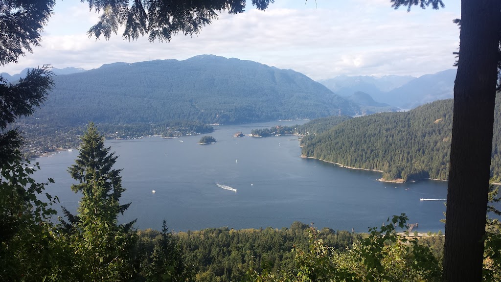 Confederation Park Lacrosse Box | 250 Willingdon Ave, Burnaby, BC V5C 5E9, Canada | Phone: (604) 294-7944