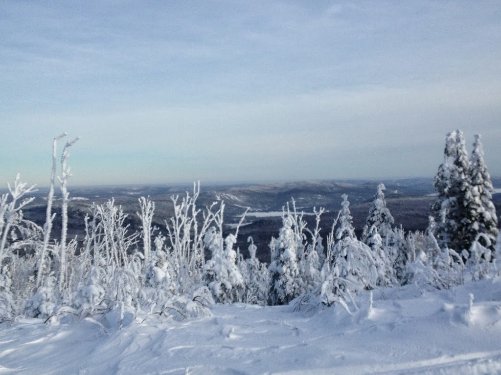 Sport & Marine M V Inc | 1108 Rue Principale, Saint-Donat-de-Montcalm, QC J0T 2C0, Canada | Phone: (819) 424-3433