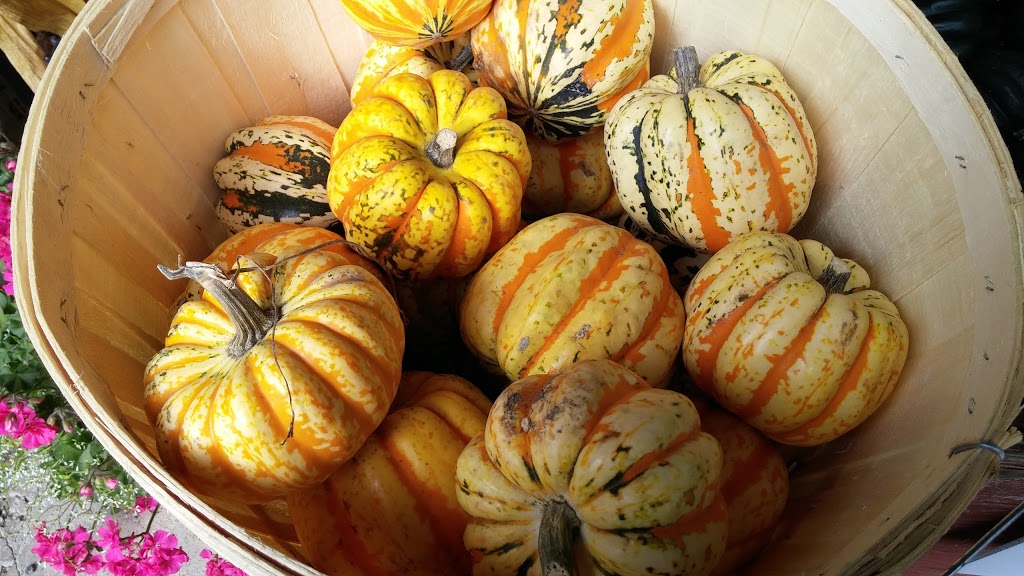 Myers Apple Farm | 37 Hamilton Regional Rd 52, Hamilton, ON L0R, Canada | Phone: (905) 627-0420