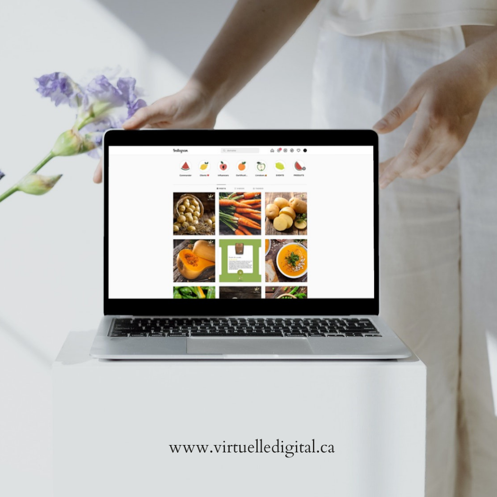 Virtuelle Digital | 4182 Chem. Royal, Saint-Jean-de-lÎle-dOrléans, QC G0A 3W0, Canada | Phone: (581) 982-6363