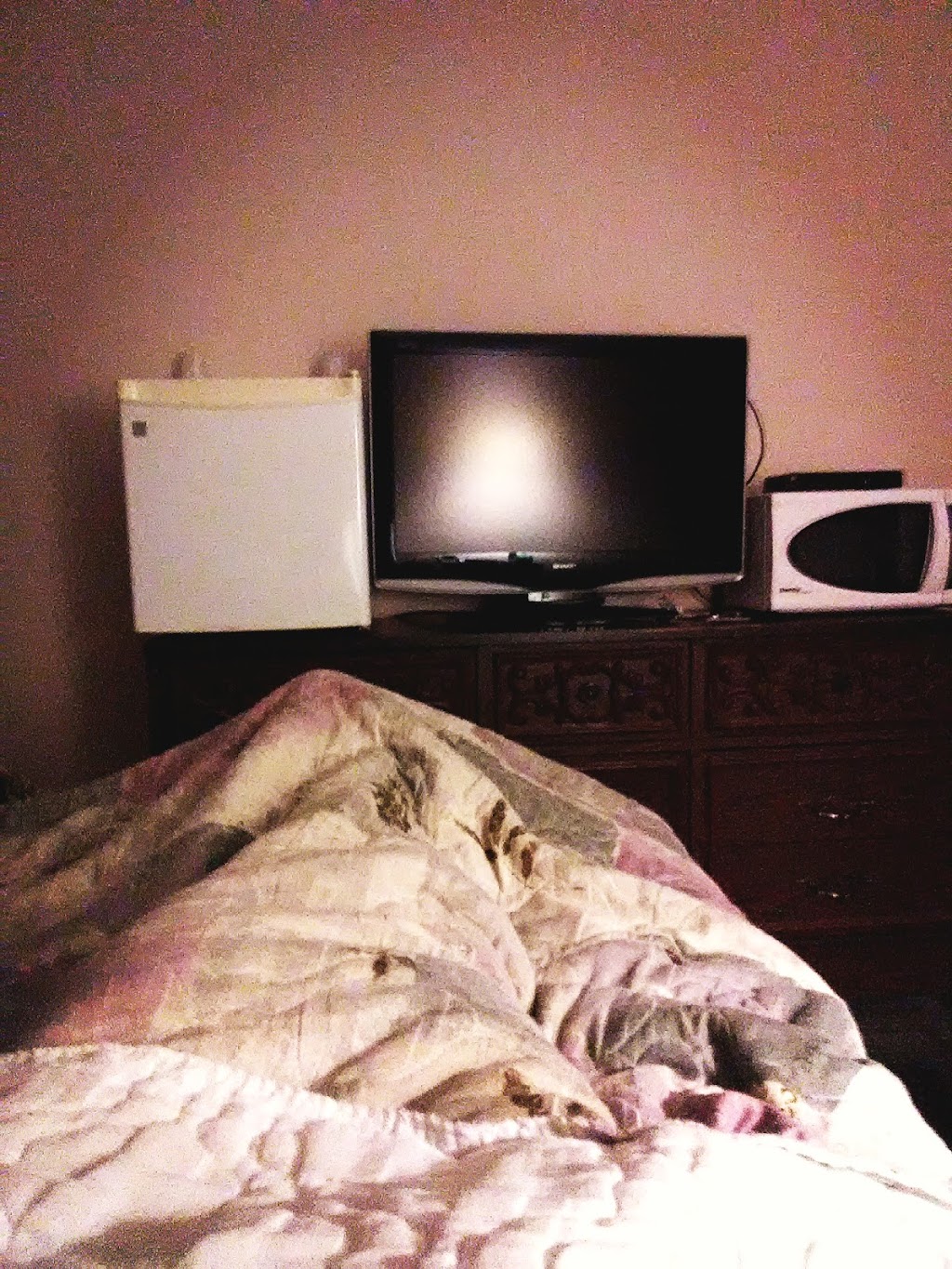 Massey Motel | Sauble St W, Sables-Spanish Rivers, ON P0P 1P0, Canada | Phone: (705) 865-2500