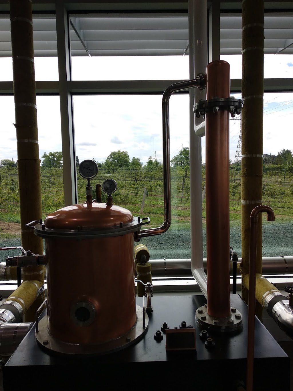 Niagara College Distillery | 135 Taylor Rd, Niagara-on-the-Lake, ON L0S 1J0, Canada