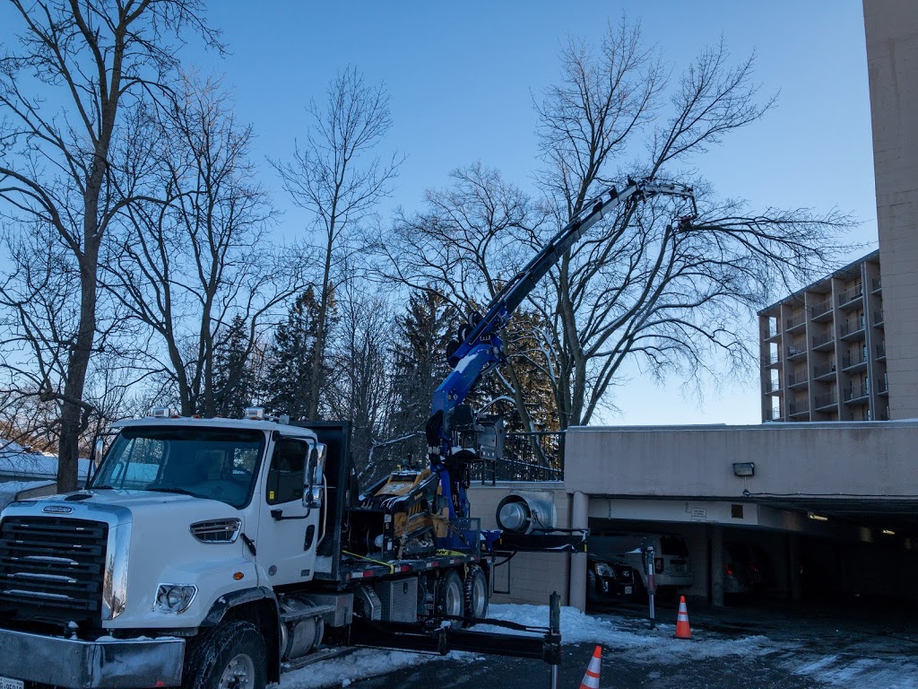 Florapine Tree Service Inc. | 8768 ON-6, Arthur, ON N0G 1A0, Canada | Phone: (519) 669-1836
