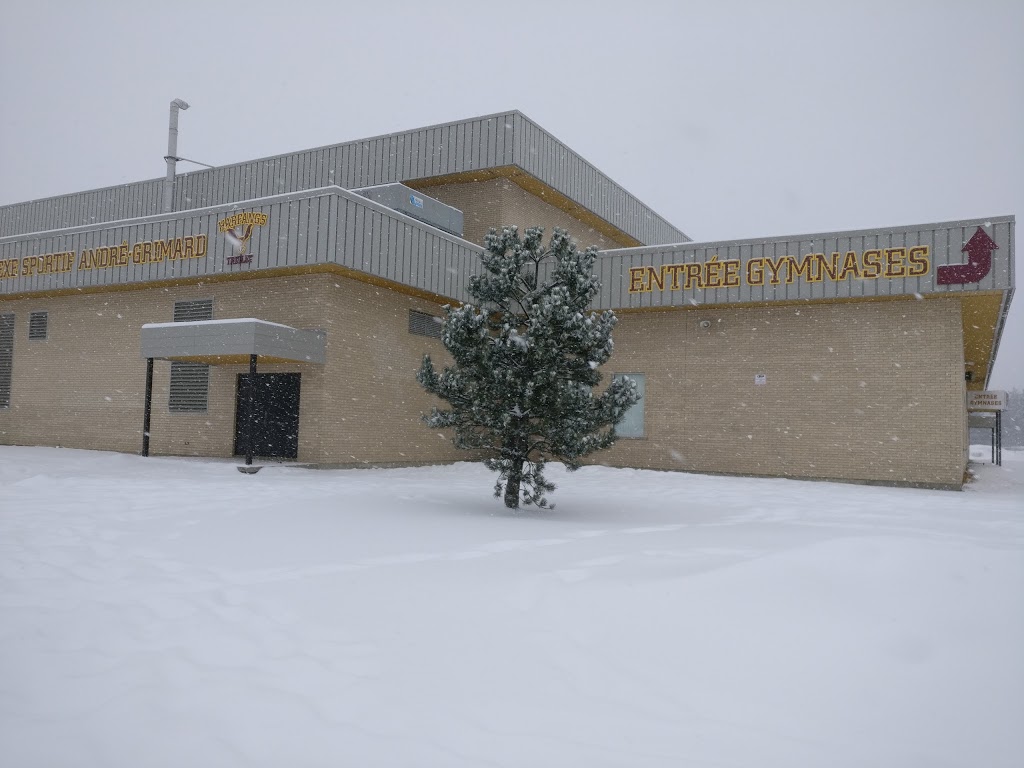 School Triolet | 2965 Boulevard de lUniversité, Sherbrooke, QC J1K 2X6, Canada | Phone: (819) 822-5388