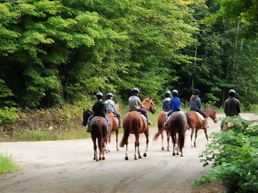 Camp Ponacka | 376 Ponacka Rd, Highland Grove, ON K0L 2A0, Canada | Phone: (705) 748-9470