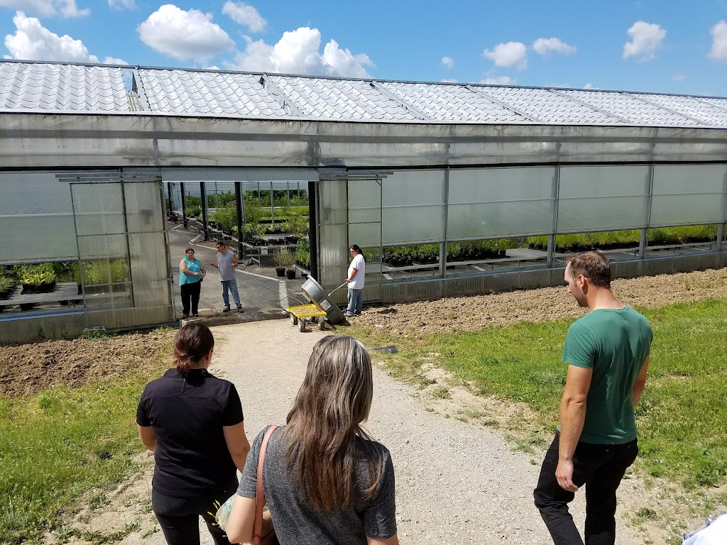 Kayanase - Ecological Restoration And Ecotourism | 993 1M0, Brant County Hwy 54, Ohsweken, ON N0A 1M0, Canada | Phone: (519) 770-0013