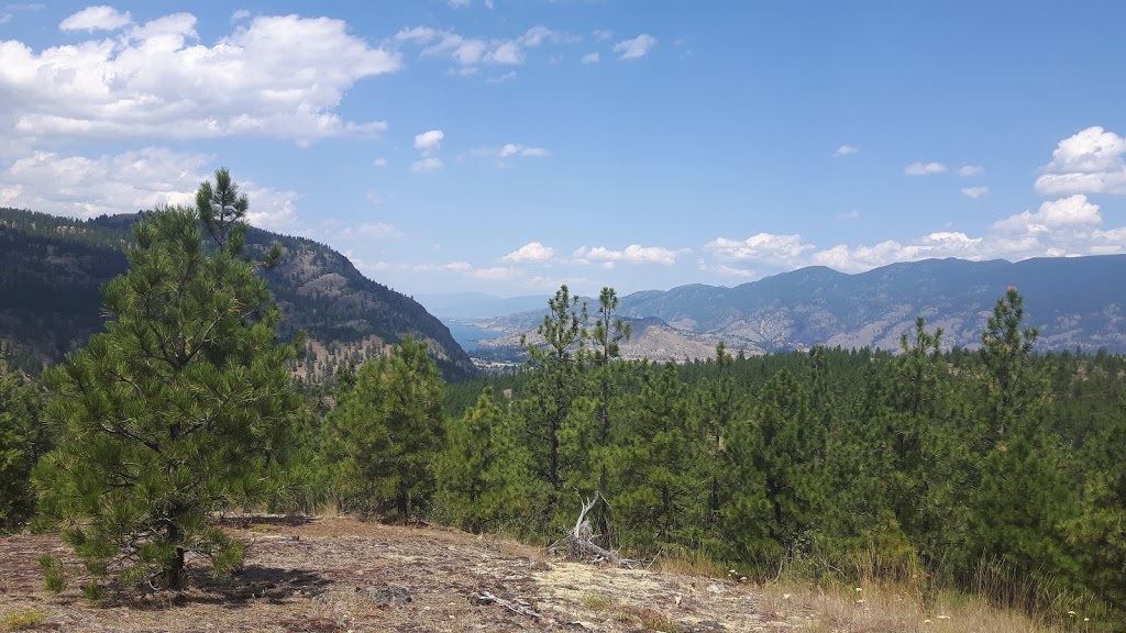White Lake Grasslands Protected Area | 525 Johnson Crescent, Cawston, BC V0X 1C0, Canada
