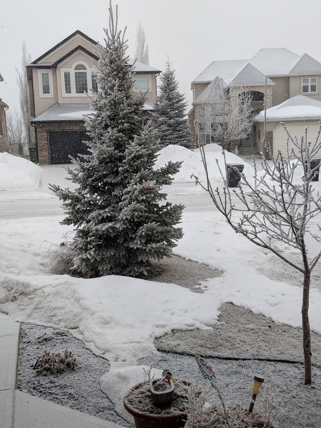 Elmira Park | 46 Elkton Way SW, Calgary, AB T3H 4Y8, Canada