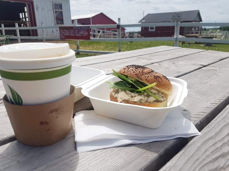 Florys Café & Market | 351, Route 225, Hampshire, PE C0A 1Y0, Canada | Phone: (902) 218-1673