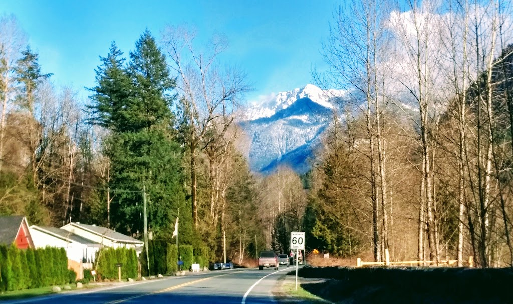 Arbor Landscaping Ltd | 47770 Edwards Rd, Chilliwack, BC V2R 4R9, Canada | Phone: (604) 858-5980