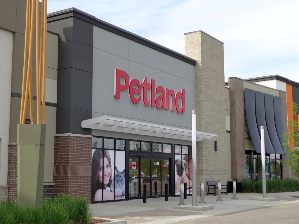 Petland | 6004 Currents Dr NW #6268, Edmonton, AB T6W 0L8, Canada | Phone: (587) 521-8210