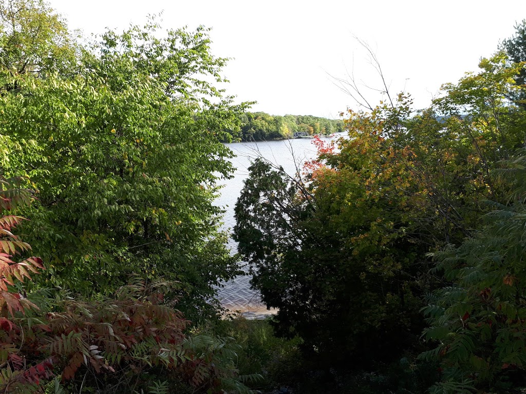 Mary-Anne Phillips Parc | 47 Chemin Summer, Cantley, QC J8V 3J3, Canada