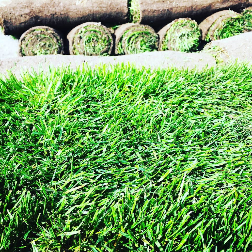 Tufturf.ca | 4060 Blenkinsop Rd, Victoria, BC V8X 2C2, Canada | Phone: (250) 721-5300