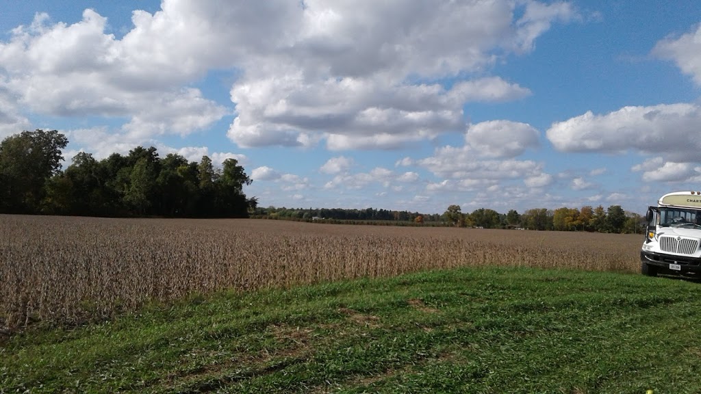 Schuyler Farms Limited | 383 Concession 14 Townsend, Simcoe, ON N3Y 4K3, Canada | Phone: (519) 426-5784
