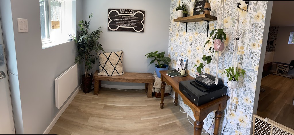 Pitou Net | 226 Rue OBrien, Châteauguay, QC J6K 2R1, Canada | Phone: (450) 699-3301