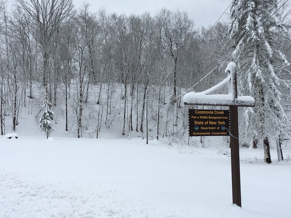 Cazenovia Creek Wildlife Management Area | West Seneca, NY 14224, USA