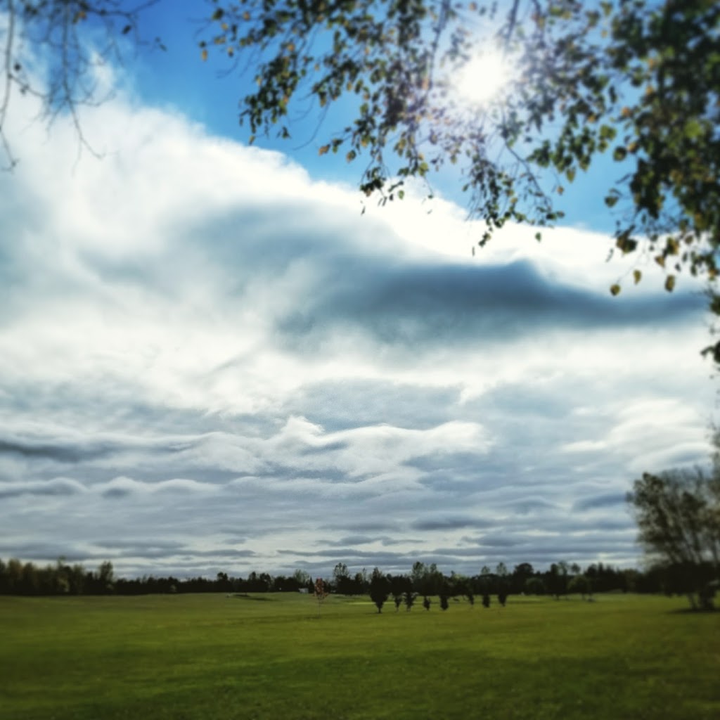 Deer Run Golf Course and Bar & Grill | 10 Brook St, Little Britain, ON K0M 2C0, Canada | Phone: (705) 328-3781