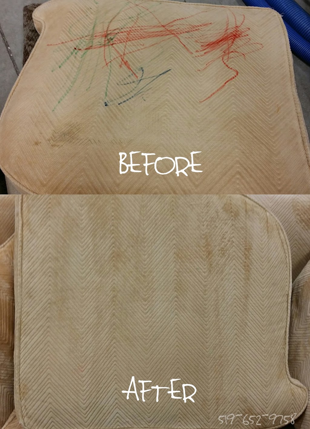 Sears Carpet & Upholstery Cleaning | 1565 N Routledge Park, London, ON N6H 5L6, Canada | Phone: (519) 652-9758