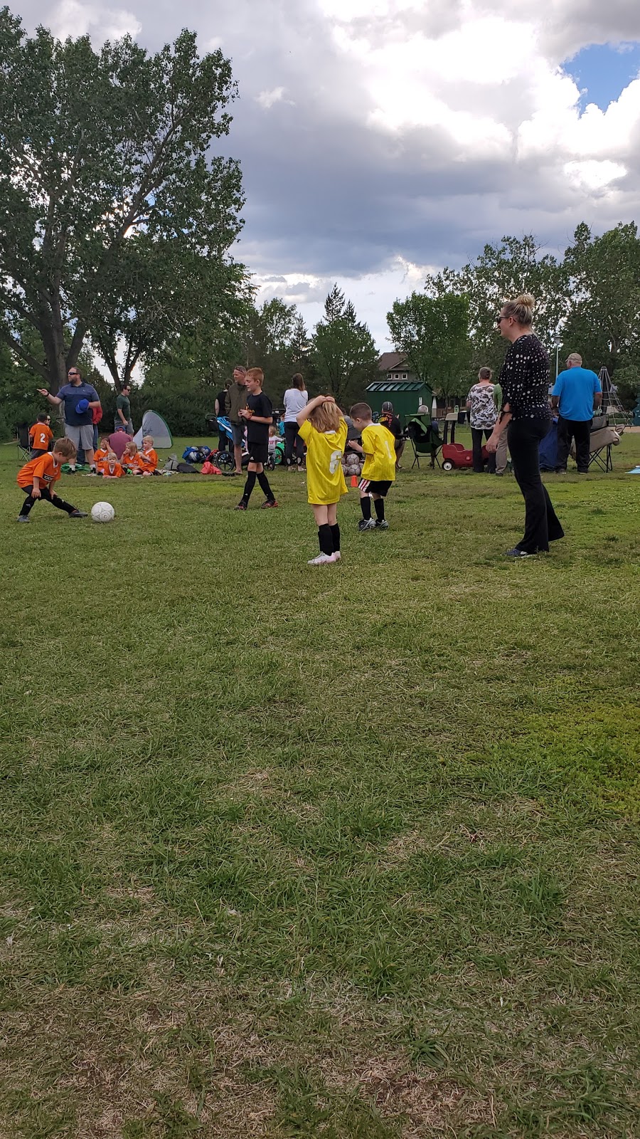 Ottewell Community League | 5920 93a Ave NW, Edmonton, AB T6B 0X2, Canada | Phone: (780) 908-5249