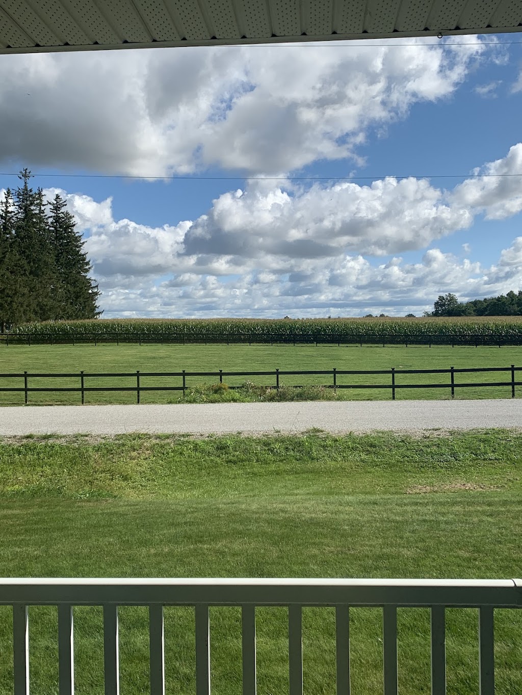 Ann De Bono--RE/MAX Advantage Realty Ltd | 151 Pine Valley Blvd, London, ON N6K 3T6, Canada | Phone: (519) 852-6069