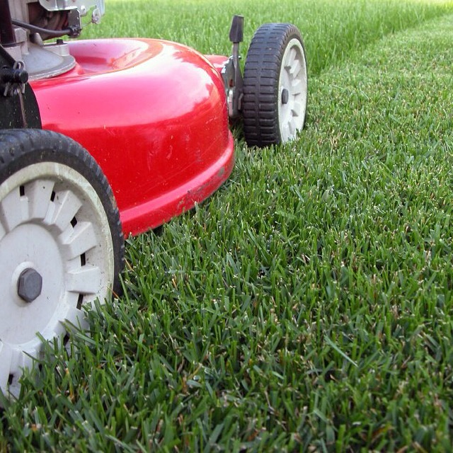 Precision Edge Lawn Service | 900 St Albert Trail, St. Albert, AB T8N 3X9, Canada | Phone: (780) 264-2239