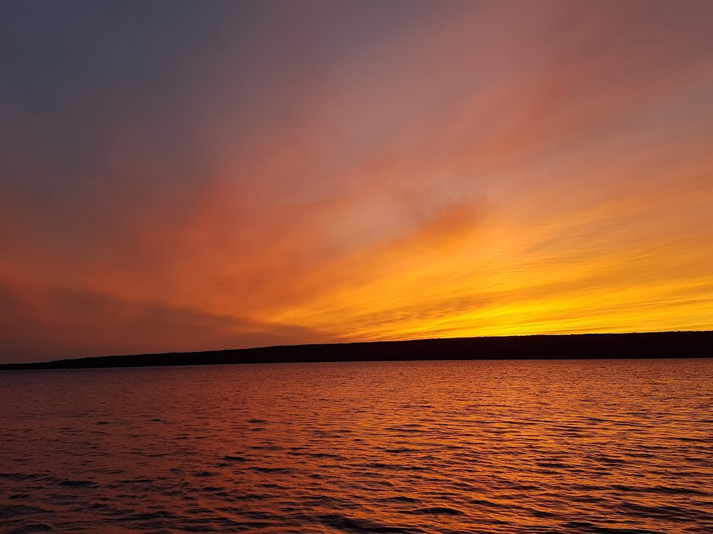 Wiarton Marina Ltd | 827 Bayview St, Wiarton, ON N0H 2T0, Canada | Phone: (519) 534-1301