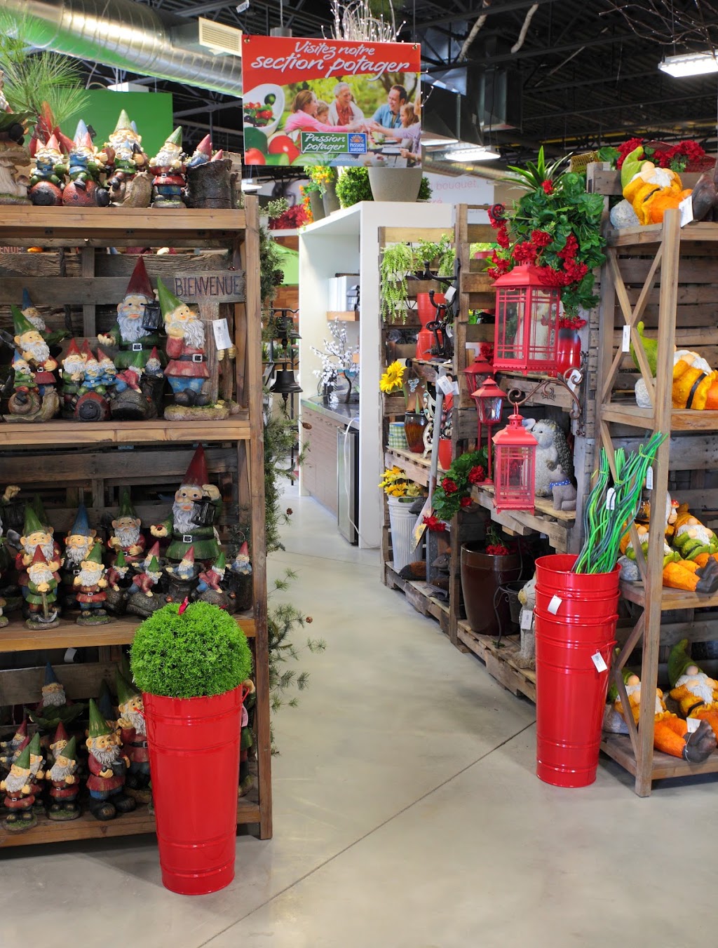 Signed Garneau Lévis | 5781 Boulevard Wilfrid-Carrier #114, Lévis, QC G6V 0M2, Canada | Phone: (418) 838-3887