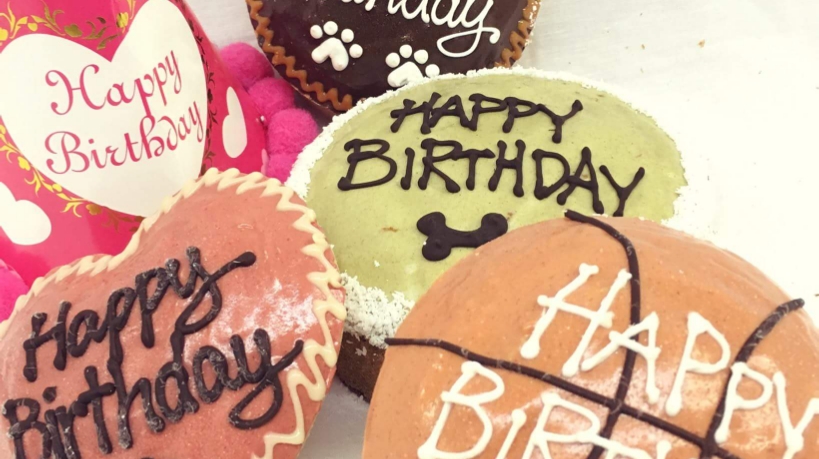 Bon A-Pet-Treat! Pet Store & Bakery | 5111 Bowness Rd NW #3, Calgary, AB T3B 4M9, Canada | Phone: (403) 286-7389