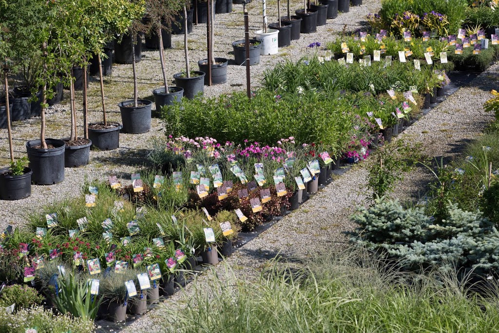 Floods Nursery Farm | 3641 County Road, 31 Albuna Townline, Ruthven, ON N0P 2G0, Canada | Phone: (519) 326-8790