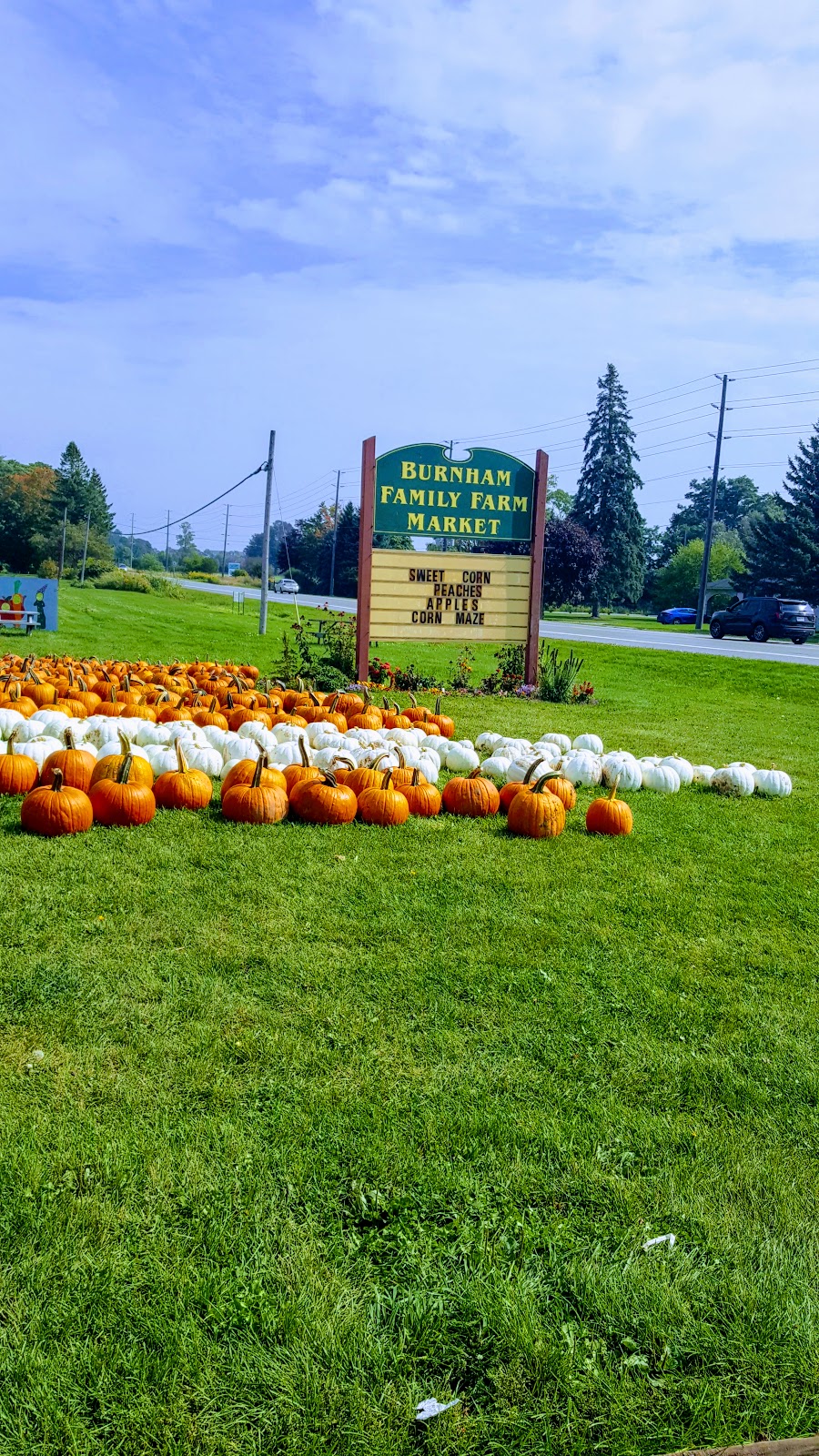 Burnham Family Farm Market | 7760 County 2 Rd, Cobourg, ON K9A 0X4, Canada | Phone: (905) 373-4578