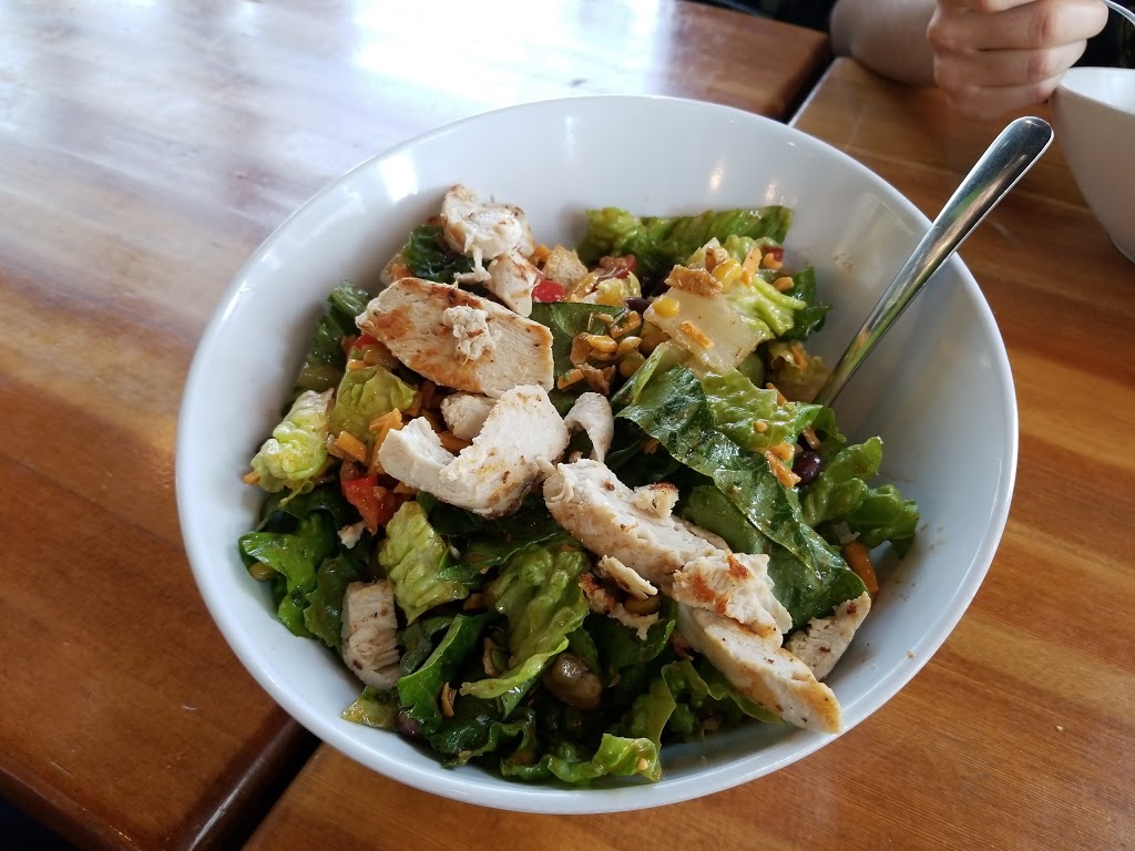 Chopped Leaf | 8650 112 Ave NW #7107, Calgary, AB T3R 0R5, Canada | Phone: (587) 296-2467