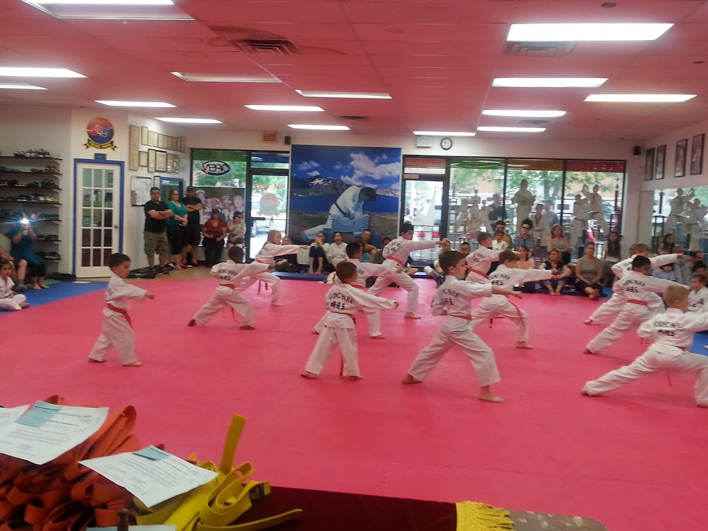 Young Park Martial Arts | 1004 Upper Wentworth St, Hamilton, ON L9A 4V9, Canada | Phone: (905) 387-5425