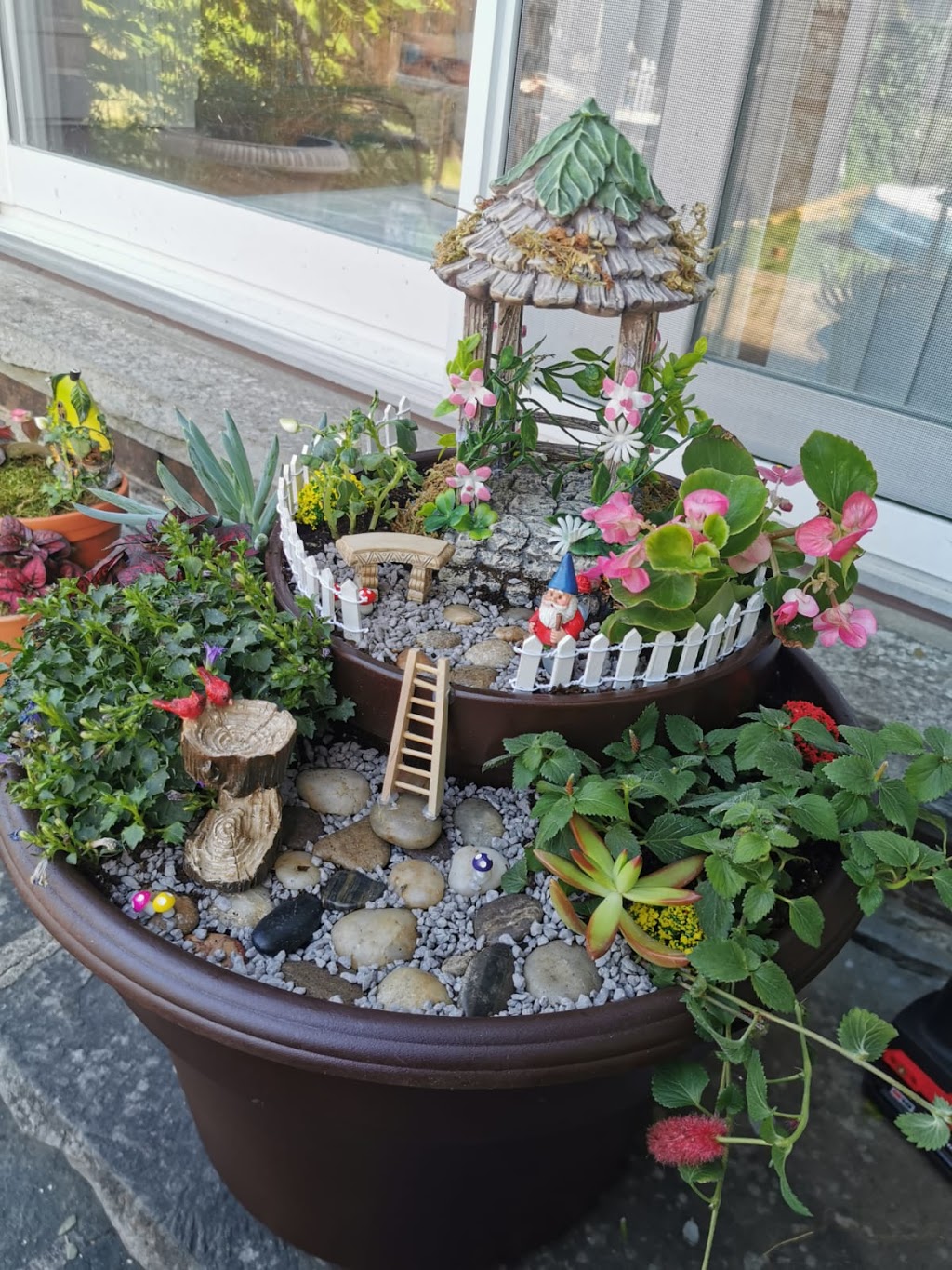 Mini Garden Store | 50 Windsor Rd, Georgetown, ON L7G 4W7, Canada | Phone: (289) 683-9195
