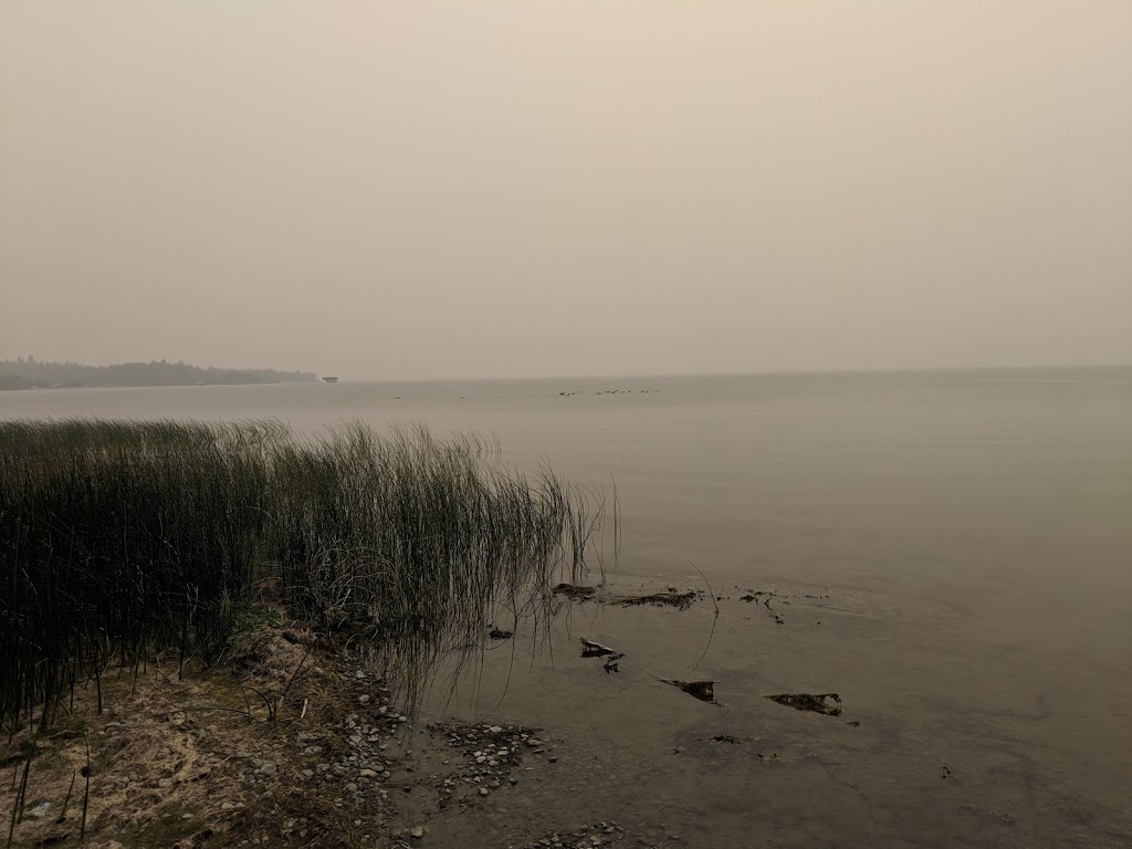 Wilsons Beach Campground | 41216, Range Rd 282, Lacombe County, AB T4L 2N3, Canada | Phone: (403) 782-3202