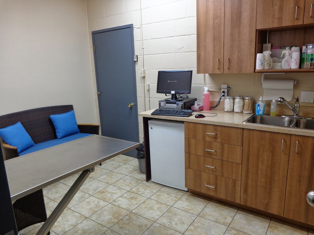 Clinique Vétérinaire de Coaticook | 490 Rue Main O, Coaticook, QC J1A 1P9, Canada | Phone: (819) 849-4865