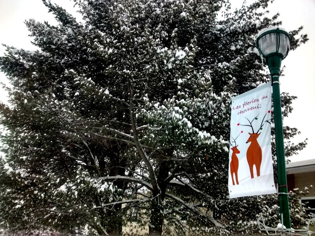 Municipalité de Duhamel | 1890 Rue Principale, Duhamel, QC J0V 1G0, Canada | Phone: (819) 428-7100