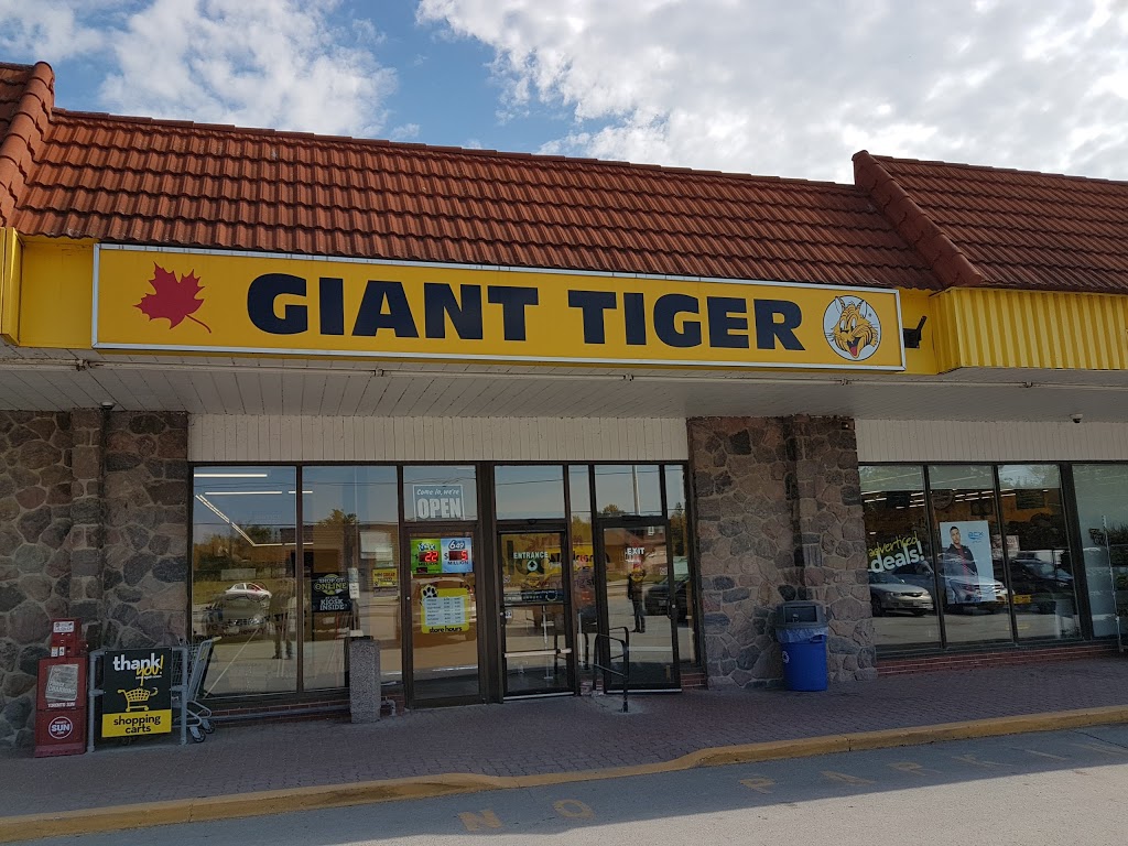 Giant Tiger | 20875 Dalton Rd, Sutton, ON L0E 1R0, Canada | Phone: (905) 722-8099