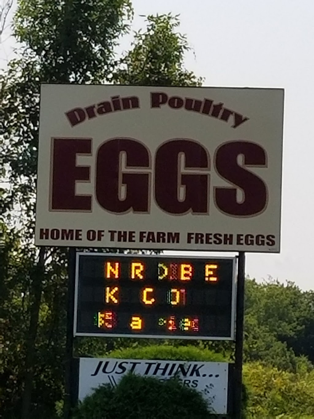 Drain Poultry Farm | 7646 ON-37, Tweed, ON K0K 3J0, Canada | Phone: (613) 478-2828