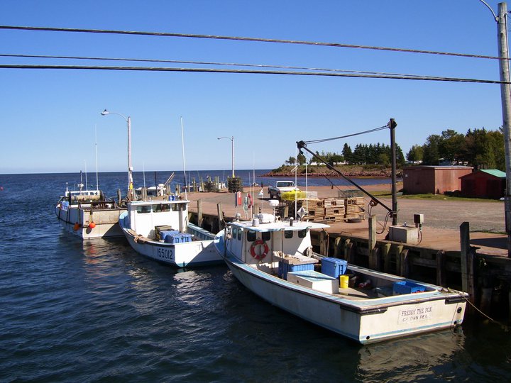 Blue Heron Gallery | 11 Beatons Bluff, Amherst, NS B4H 3X9, Canada | Phone: (902) 661-1089