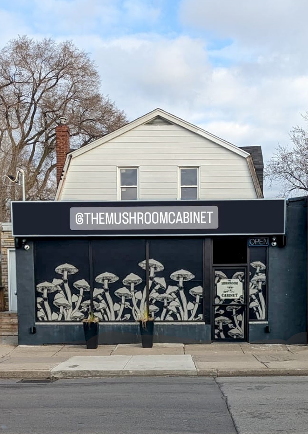 The Mushroom Cabinet | 1459 Main St E, Hamilton, ON L8K 1C5, Canada | Phone: (289) 556-4985