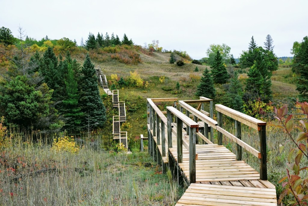 Spruce Woods Provincial Park | Carberry, MB R0K 0H0, Canada | Phone: (204) 827-8850