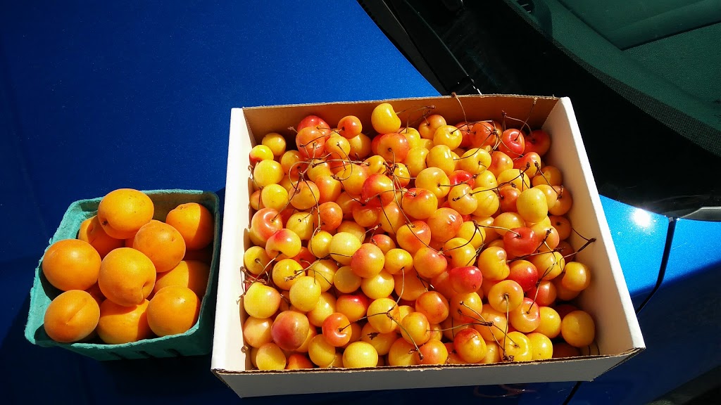 Harkers Organics | BC-3, Cawston, BC V0X 1C0, Canada | Phone: (250) 499-2751