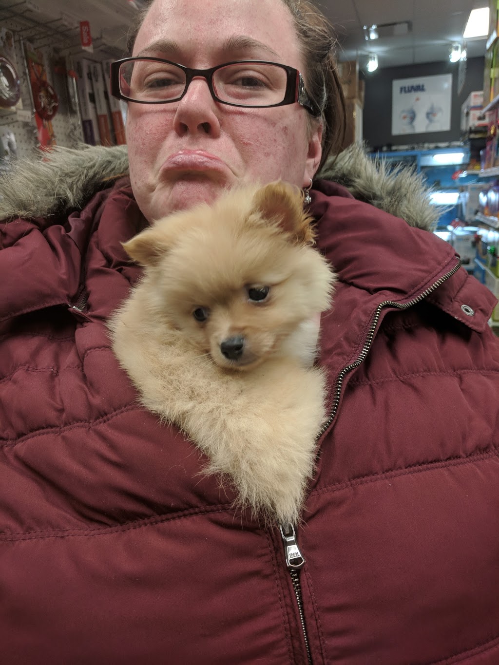 Ruffins Pet Centre- Stratford | 1067 Ontario St, Stratford, ON N5A 6W6, Canada | Phone: (519) 271-8739