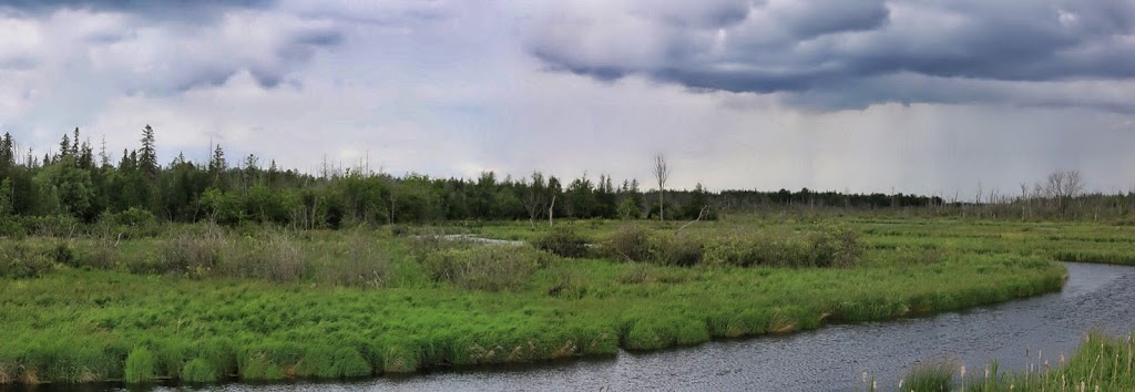 Wetland, River | 301-445 Golf Course Rd, Janetville, ON L0B 1K0, Canada