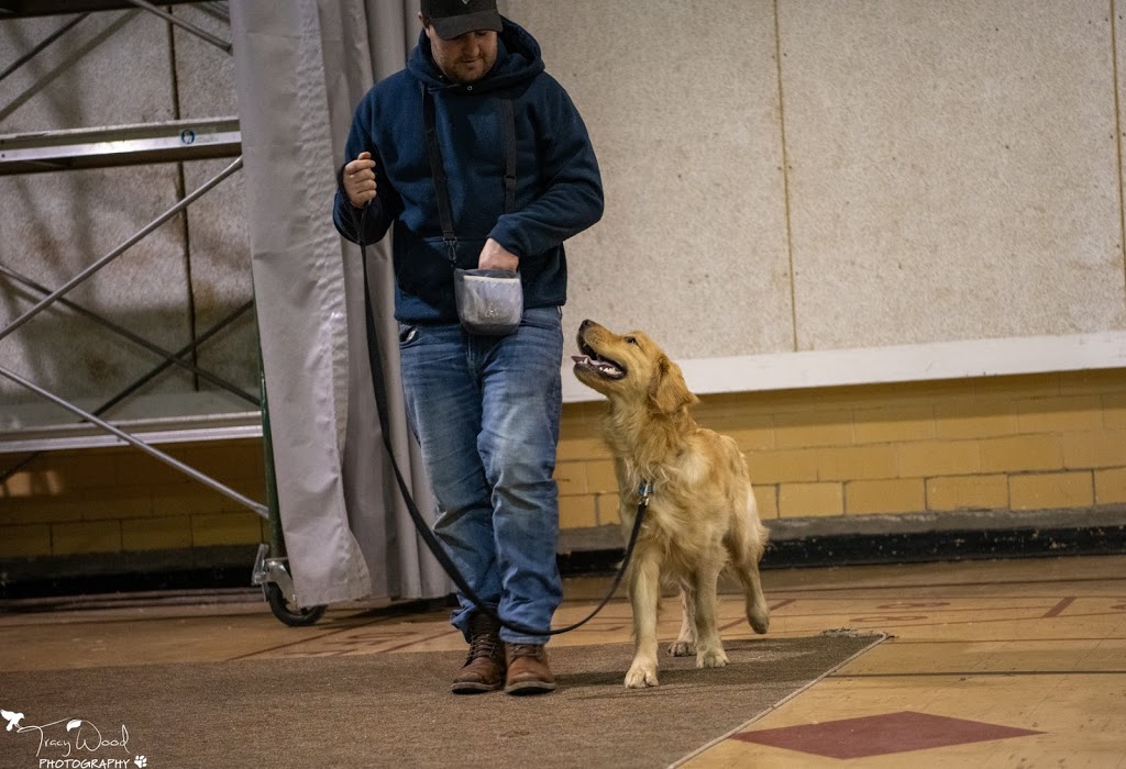 Flash Go. Dog Training | 2886 London Line, Sarnia, ON N7T 7H2, Canada | Phone: (519) 466-5819