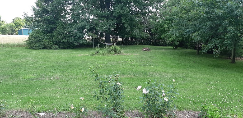 Rose Haven | 8733 Reily Dr, Mount Brydges, ON N0L 1W0, Canada